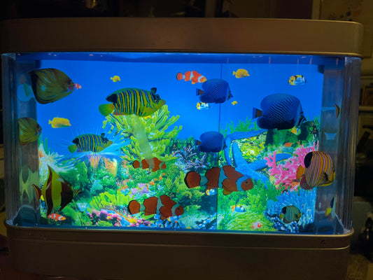 Sjovt akvarium med bevægelige fisk der svømmer - nr. 011085